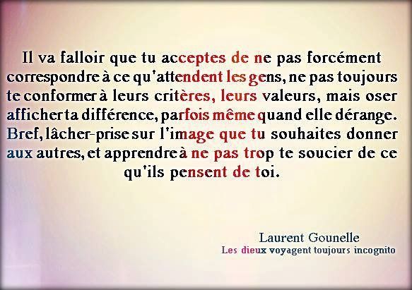 Citation - Laurent Gounelle "Les dieux voyagent toujours 