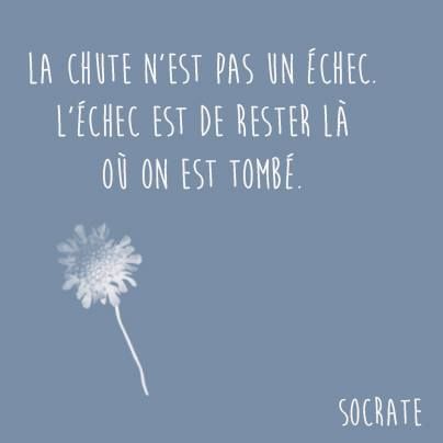 Citation  La chute n'est pas un échec, l'échec est de rester là où on