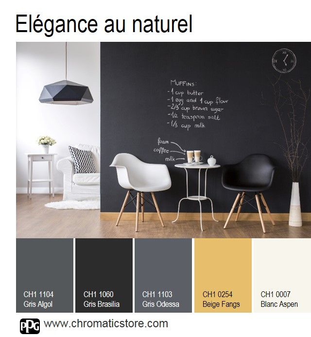 Déco Salon - Structurer l’espace avec élégance en peignant ...