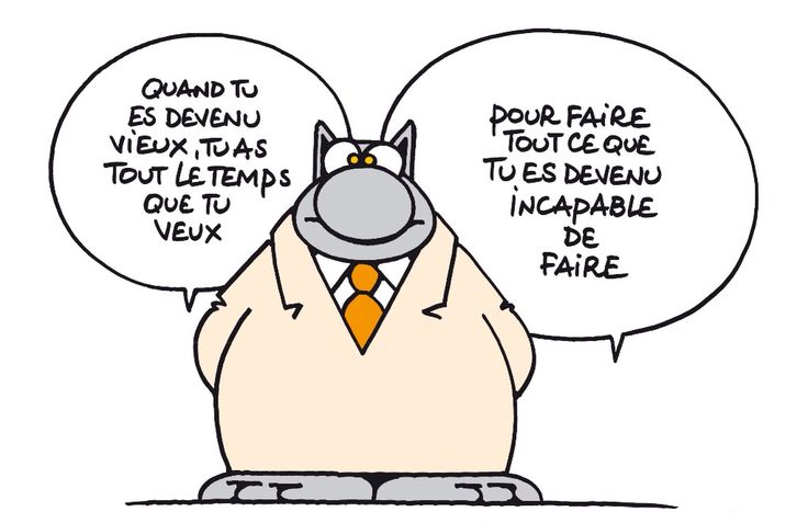 Citation Le Chat De Geluck Listspirit Com Leading Inspiration Culture Lifestyle Magazine