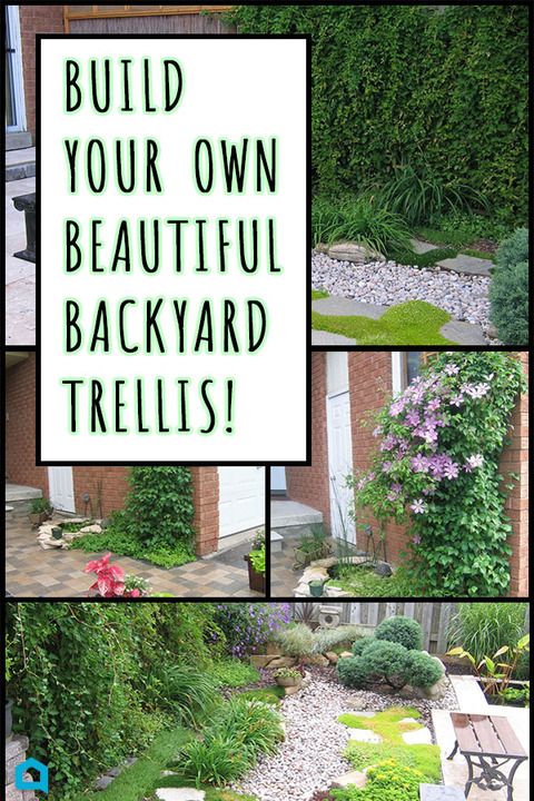 DIY Crafts - Create beautiful backyard privacy with a DIY ...