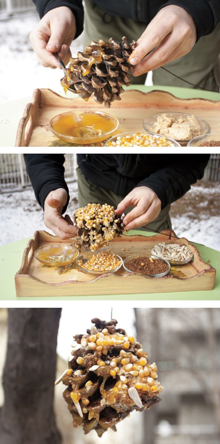 diy-crafts-pine-cone-bird-feeders-melt-peanut-butter-butter-and