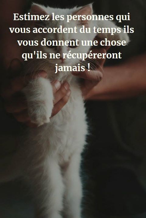 Citation - Citations et proverbes français à lire. Une nouvelle ...