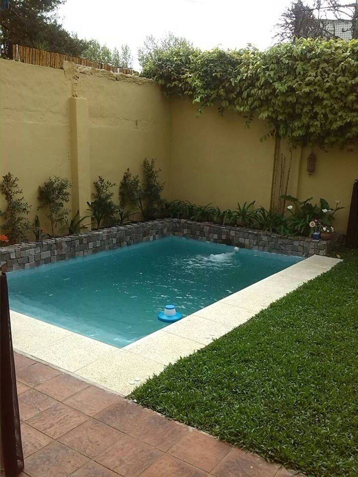 Petites piscines avec jardins